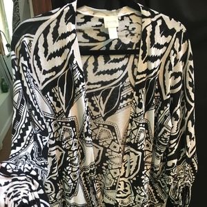 Really Cute Chicos Sweater